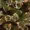 7.5 ft. Pre-Lit Glittery Pine Hinged Slim Artificial Christmas Tree, Clear Lights